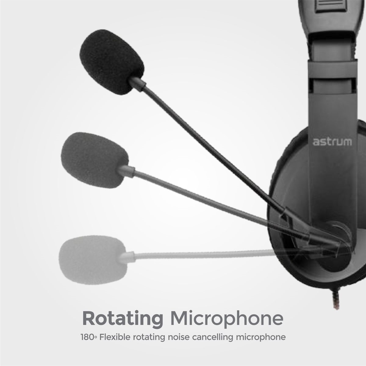 PureBass Wired Earphones with Mic WE-23